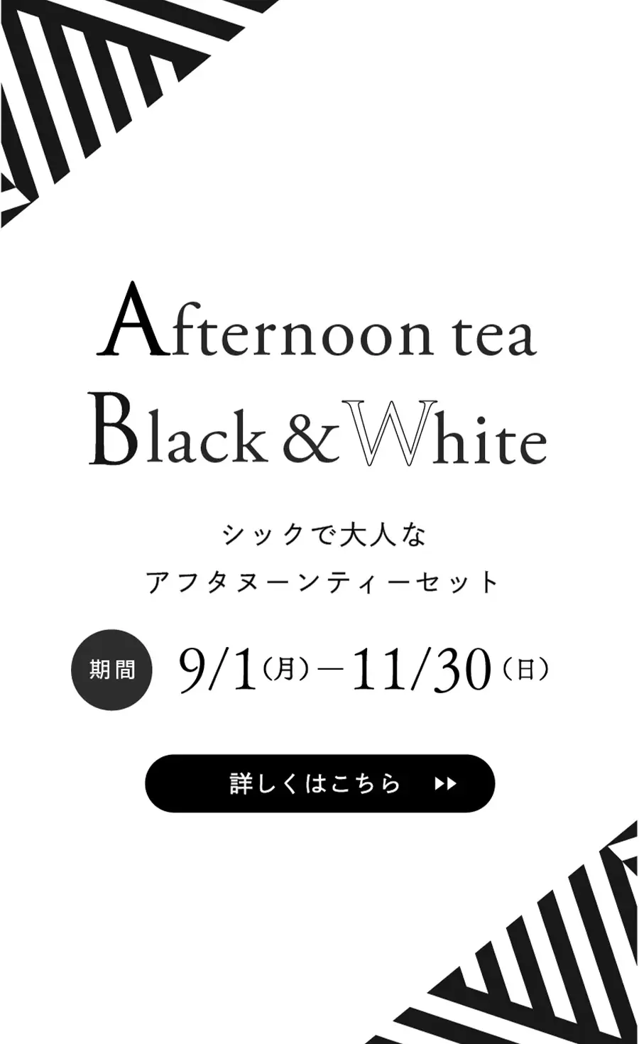 Afternoon tea Green & Brown